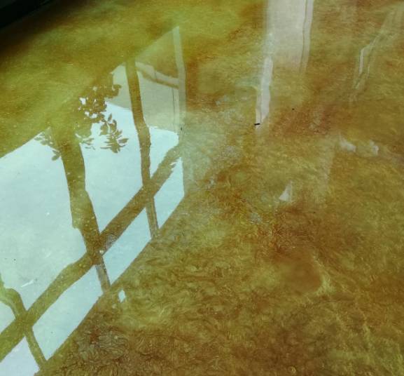 施麥貝琥珀藝術地坪漆施工流程介紹！